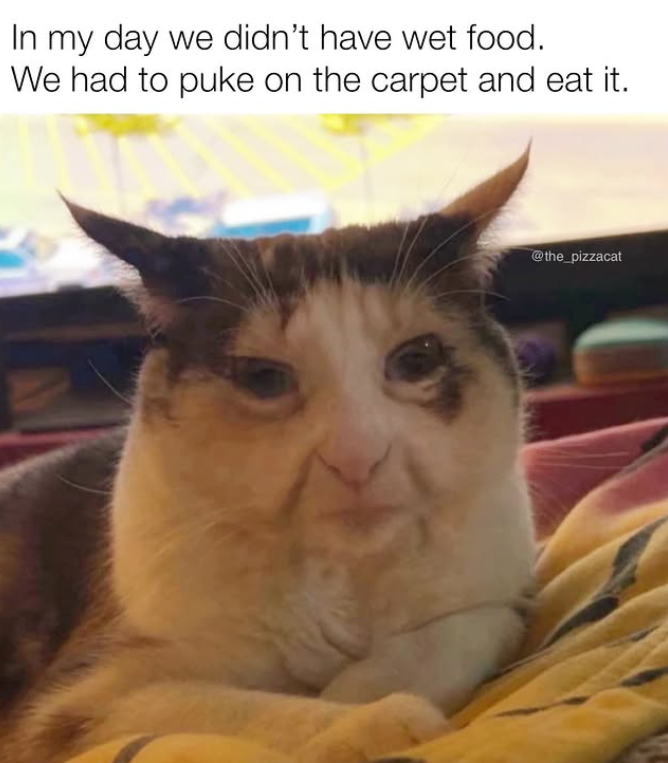 In my day we didn't have wet food. We had to puke on the carpet and eat it. @the_pizzacat