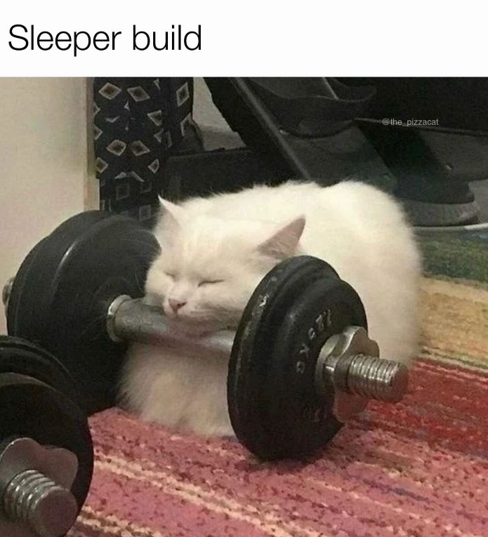 Sleeper build @the_pizzacat