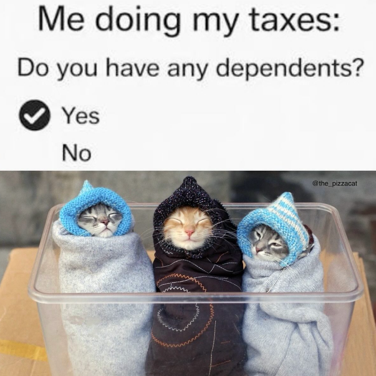 Me doing my taxes: Do you have any dependents? Yes No @the_pizzacat