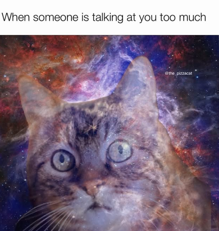 When someone is talking at you too much @the_pizzacat
