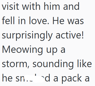 visit with him and fell in love. He was surprisingly active! Meowing up a storm, sounding like he sn.d a pack a