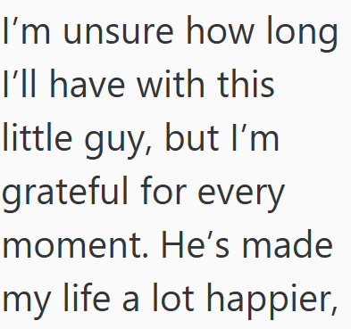 I'm unsure how long I'll have with this little guy, but I'm grateful for every moment. He's made my life a lot happier,