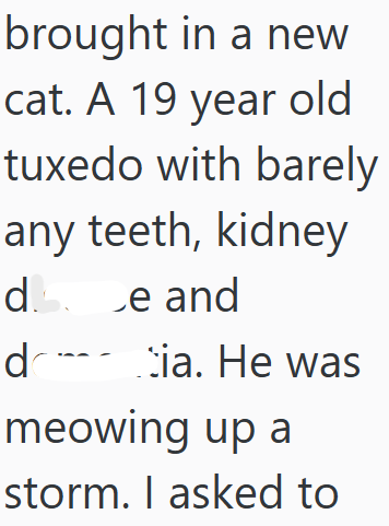 brought in a new cat. A 19 year old tuxedo with barely any teeth, kidney de and d tia. He was meowing up a storm. I asked to