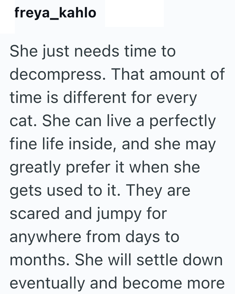 freya_kahlo She just needs time to decompress. That amount of time is different for every cat. She can live a perfectly fine life inside, and she may greatly prefer it when she gets used to it. They are scared and jumpy for anywhere from days to months. She will settle down eventually and become more