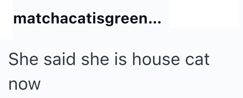 matchacatisgreen... She said she is house cat now