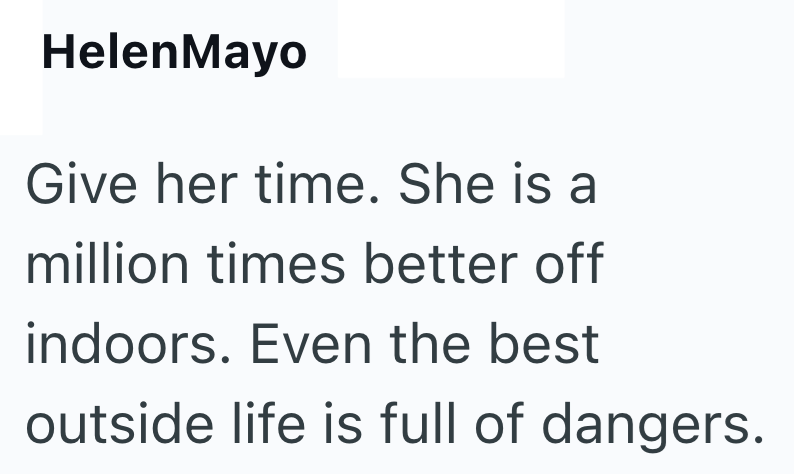HelenMayo Give her time. She is a million times better off indoors. Even the best outside life is full of dangers.