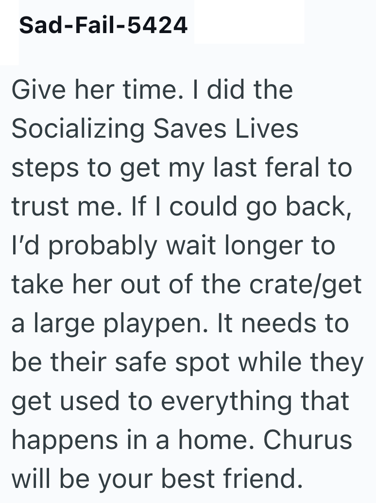 Sad-Fail-5424 Give her time. I did the Socializing Saves Lives steps to get my last feral to trust me. If I could go back, I'd probably wait longer to take her out of the crate/get a large playpen. It needs to be their safe spot while they get used to everything that happens in a home. Churus will be your best friend.