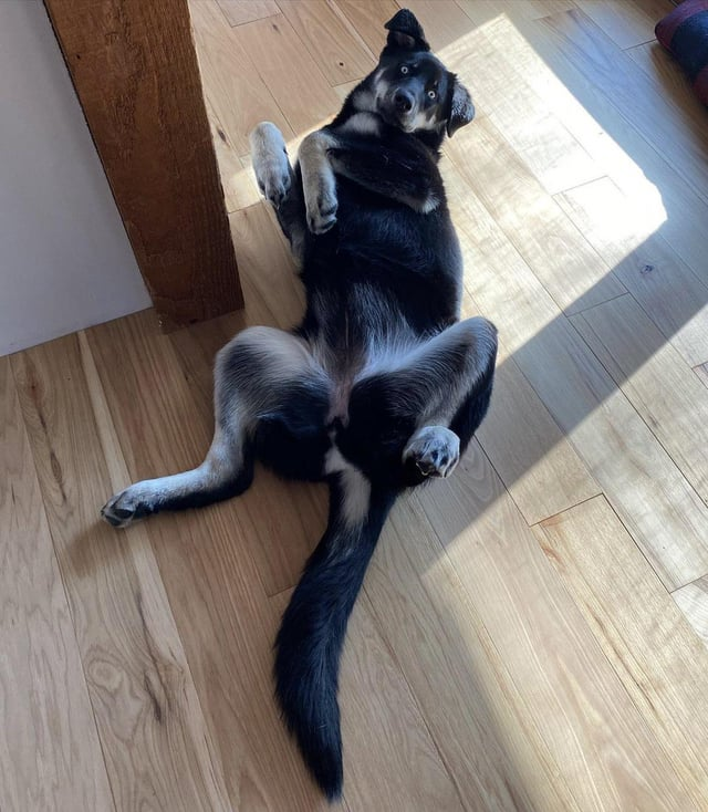 Cheezburger Image 10612474624