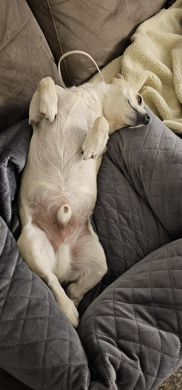 Cheezburger Image 10612475648