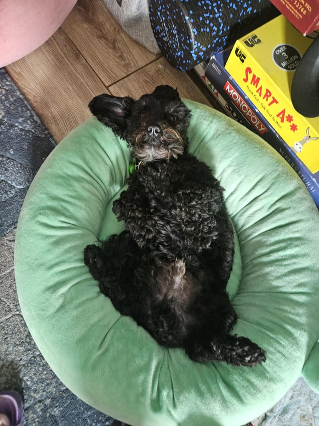 20 M NO. 52766 OVER 3 MILLION SOLD LOG Think Fast-Talk First To Wint SMART A** MONOPOLY SUPERNATURAL