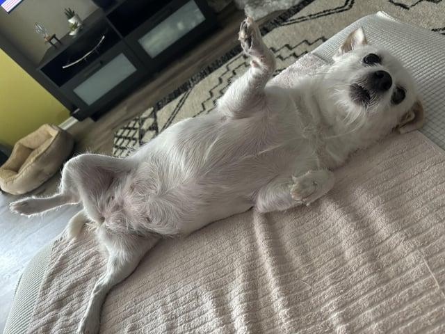 Cheezburger Image 10612476672