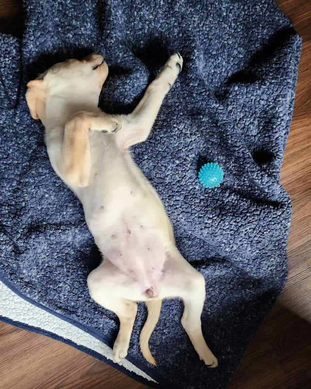 Cheezburger Image 10612477696