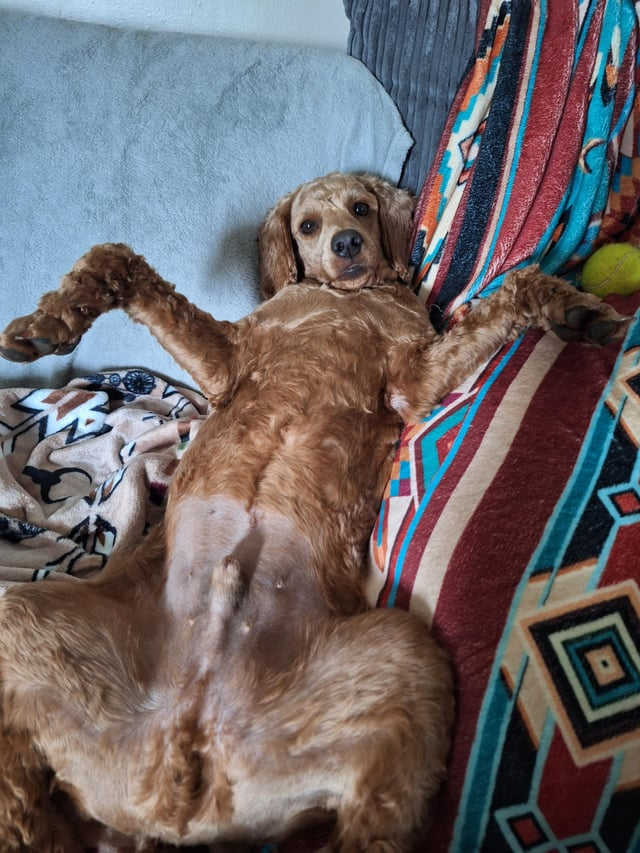 Cheezburger Image 10612478720