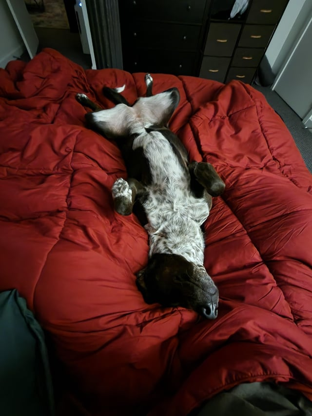 Cheezburger Image 10612478976