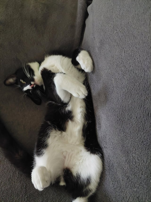 Cheezburger Image 10612484352