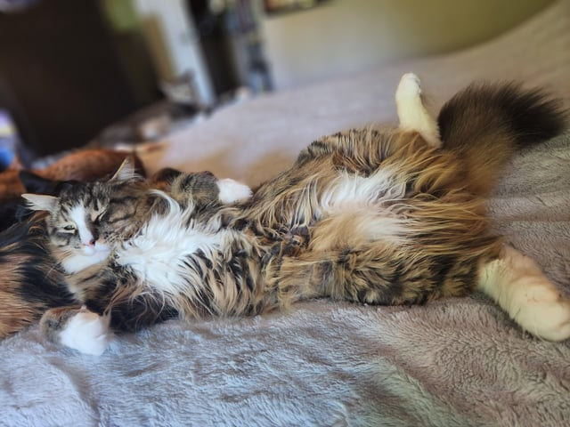 Cheezburger Image 10612484608