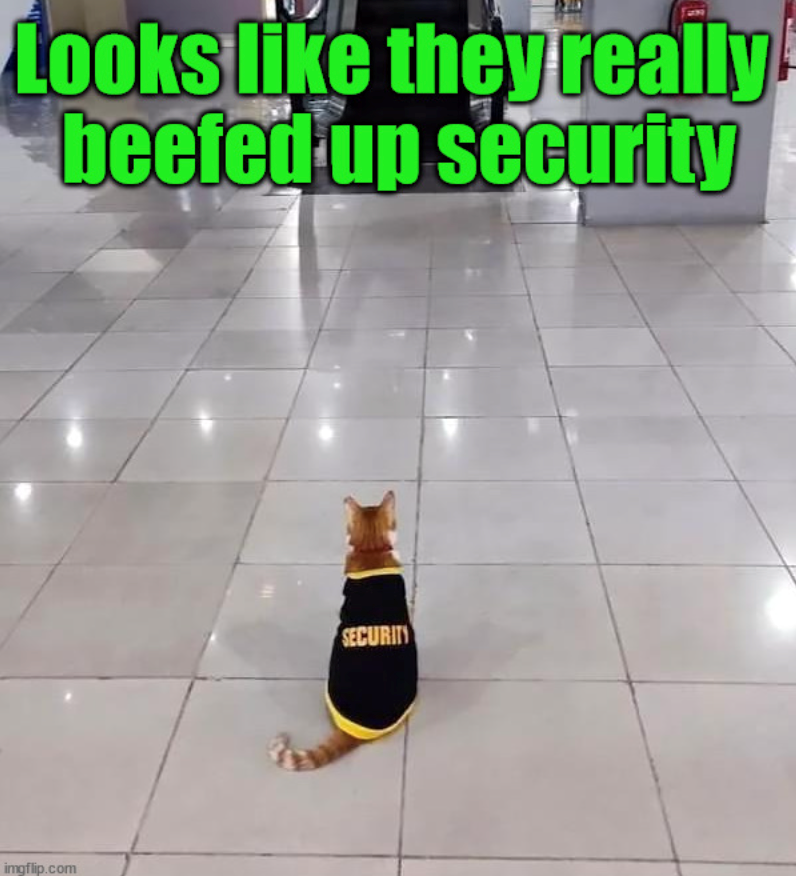 Looks like they really beefed up security imgflip.com SECURITY