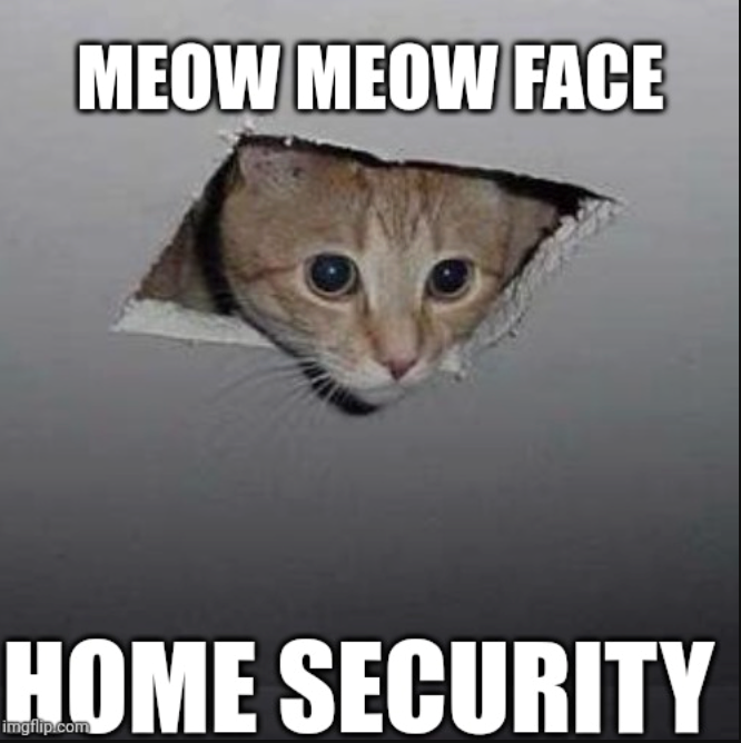 MEOW MEOW FACE HOME SECURITY imgflip.com