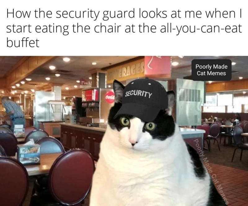 How the security guard looks at me when I start eating the chair at the all-you-can-eat buffet ERAGES SECURITY Poorly Made Cat Memes y Made Memes