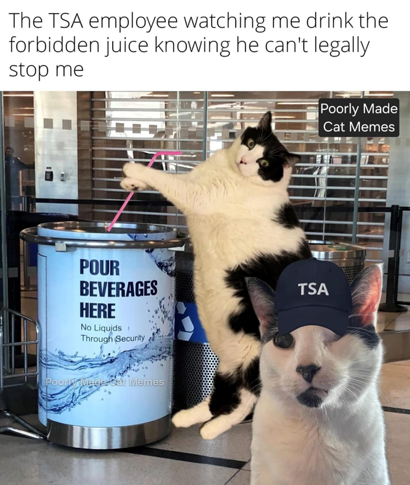 The TSA employee watching me drink the forbidden juice knowing he can't legally stop me POUR BEVERAGES HERE No Liquids Through Security Poorly Made Cat Memes Poorly Made Cat Memes TSA