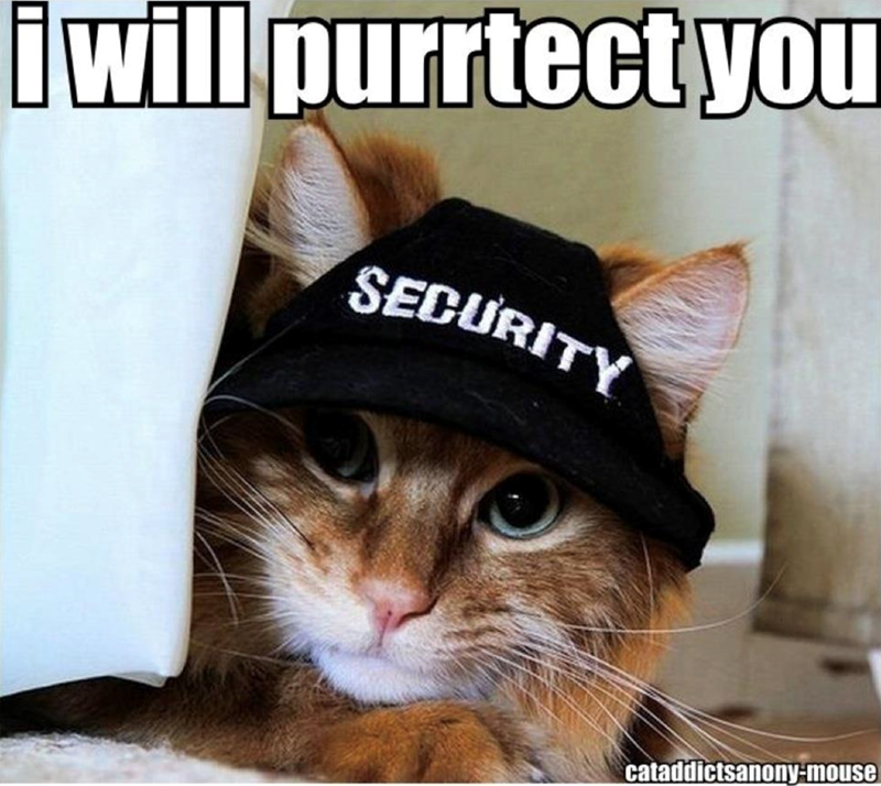 i will purrtect you SECURITY cataddictsanony-mouse
