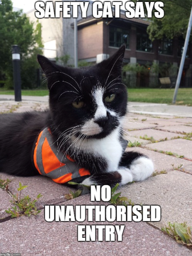imgflip.com SAFETY CAT SAYS NO UNAUTHORISED ENTRY