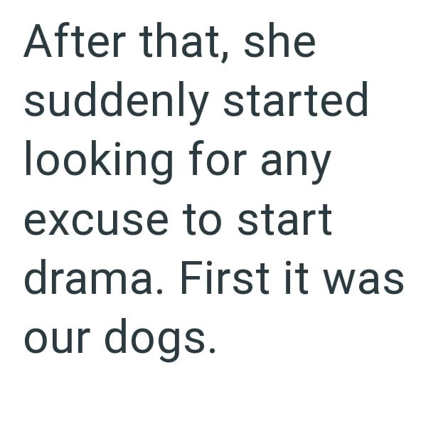 After that, she suddenly started looking for any excuse to start drama. First it was our dogs.