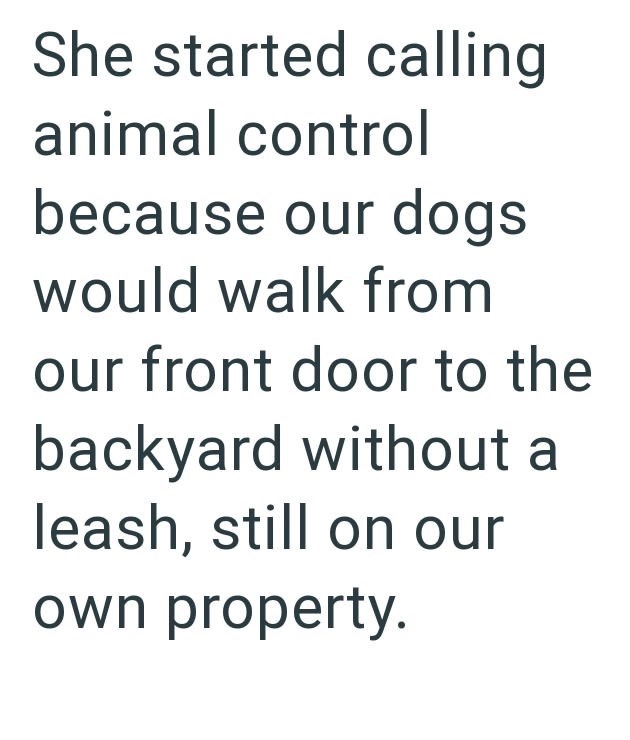 She started calling animal control because our dogs would walk from our front door to the backyard without a leash, still on our own property.