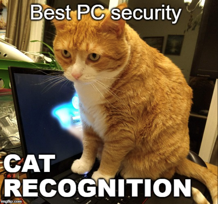 Best PC security Other B CAT RECOGNITION imgflip.com