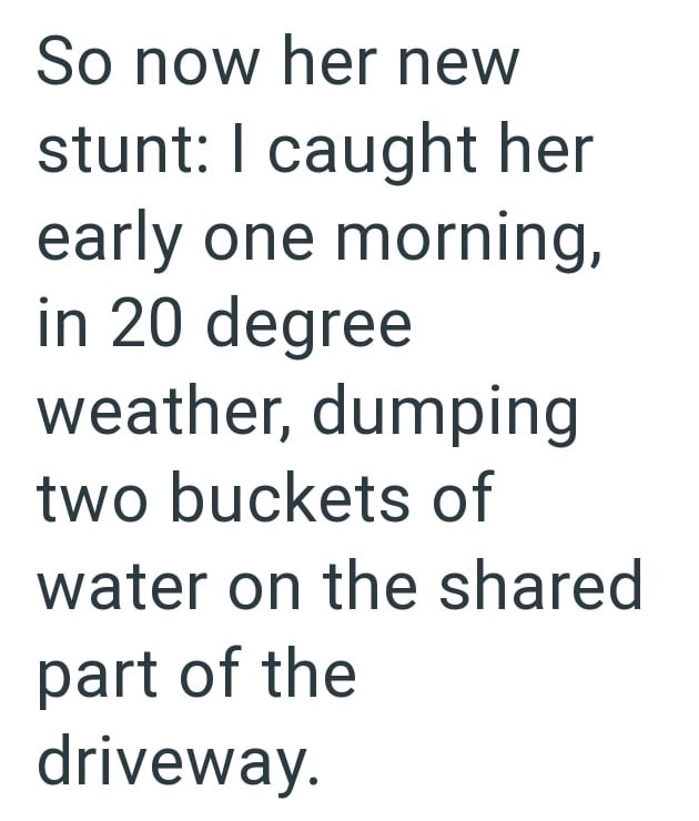 So now her new stunt: I caught her early one morning, in 20 degree weather, dumping two buckets of water on the shared part of the driveway.