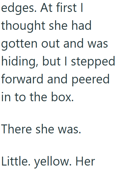 edges. At first I thought she had gotten out and was hiding, but I stepped forward and peered in to the box. There she was. Little. yellow. Her
