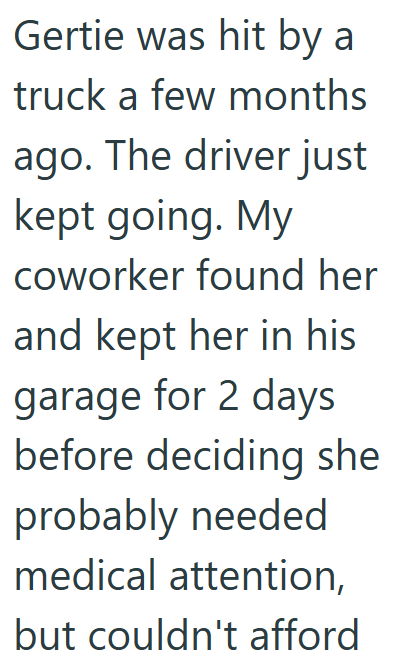 Gertie was hit by a truck a few months ago. The driver just kept going. My coworker found her and kept her in his garage for 2 days before deciding she probably needed medical attention, but couldn't afford