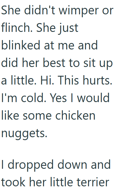 She didn't wimper or flinch. She just blinked at me and did her best to sit up a little. Hi. This hurts. I'm cold. Yes I would like some chicken nuggets. I dropped down and took her little terrier