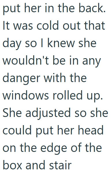put her in the back. It was cold out that day so I knew she wouldn't be in any danger with the windows rolled up. She adjusted so she could put her head on the edge of the box and stair