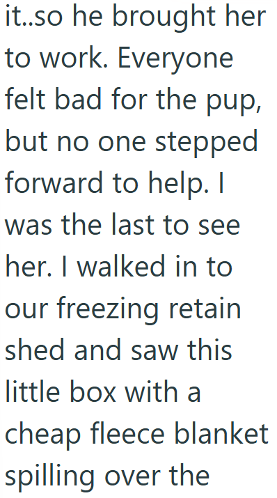 it..so he brought her to work. Everyone felt bad for the pup, but no one stepped forward to help. I was the last to see her. I walked in to our freezing retain shed and saw this little box with a cheap fleece blanket spilling over the