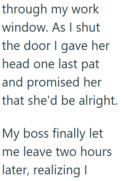 through my work window. As I shut the door I gave her head one last pat and promised her that she'd be alright. My boss finally let me leave two hours later, realizing I