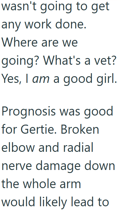 wasn't going to get any work done. Where are we going? What's a vet? Yes, I am a good girl. Prognosis was good for Gertie. Broken elbow and radial nerve damage down the whole arm would likely lead to