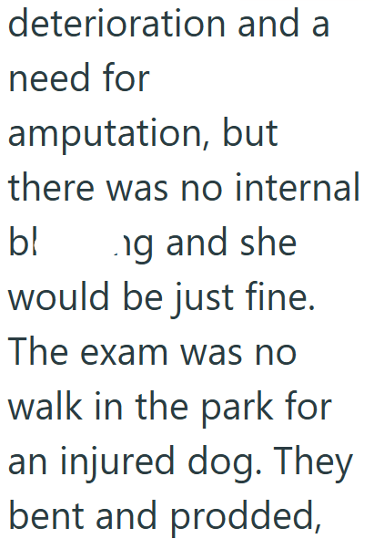 deterioration and a need for amputation, but there was no internal bl ng and she would be just fine. The exam was no walk in the park for an injured dog. They bent and prodded,