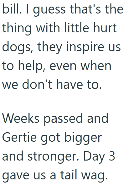 bill. I guess that's the thing with little hurt dogs, they inspire us to help, even when we don't have to. Weeks passed and Gertie got bigger and stronger. Day 3 gave us a tail wag.