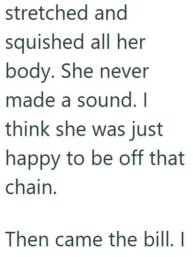 stretched and squished all her body. She never made a sound. I think she was just happy to be off that chain. Then came the bill. I