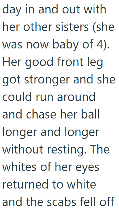 day in and out with her other sisters (she was now baby of 4). Her good front leg got stronger and she could run around and chase her ball longer and longer without resting. The whites of her eyes returned to white and the scabs fell off