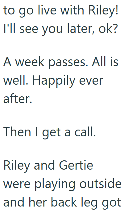 to go live with Riley! I'll see you later, ok? A week passes. All is well. Happily ever after. Then I get a call. Riley and Gertie were playing outside and her back leg got