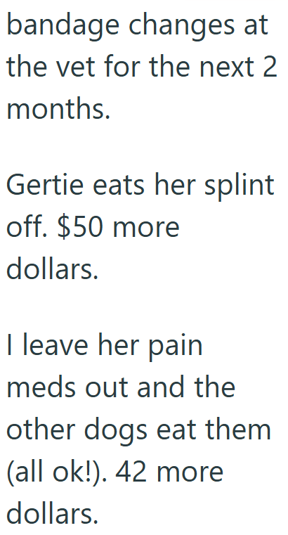 bandage changes at the vet for the next 2 months. Gertie eats her splint off. $50 more dollars. I leave her pain meds out and the other dogs eat them (all ok!). 42 more dollars.