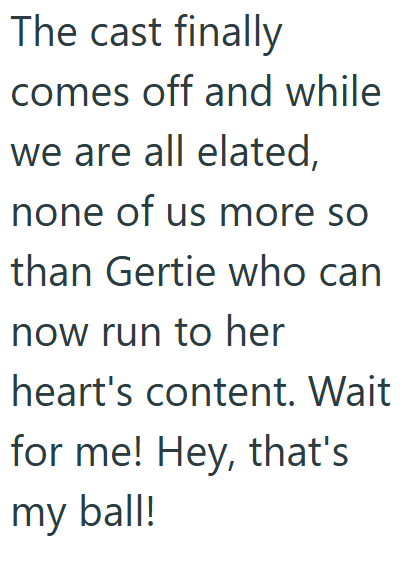 The cast finally comes off and while we are all elated, none of us more so than Gertie who can now run to her heart's content. Wait for me! Hey, that's my ball!