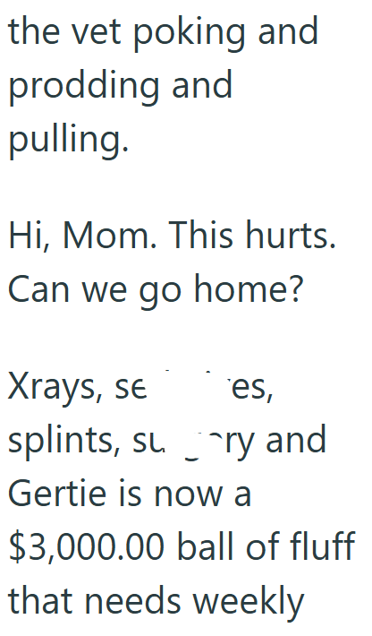 the vet poking and prodding and pulling. Hi, Mom. This hurts. Can we go home? Xrays, se es, splints, su ry and Gertie is now a $3,000.00 ball of fluff that needs weekly