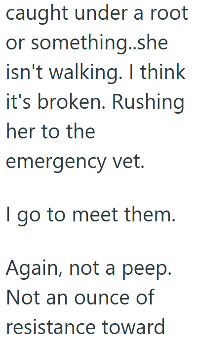 caught under a root or something..she isn't walking. I think it's broken. Rushing her to the emergency vet. I go to meet them. Again, not a peep. Not an ounce of resistance toward