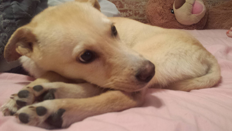 Cheezburger Image 10612505344