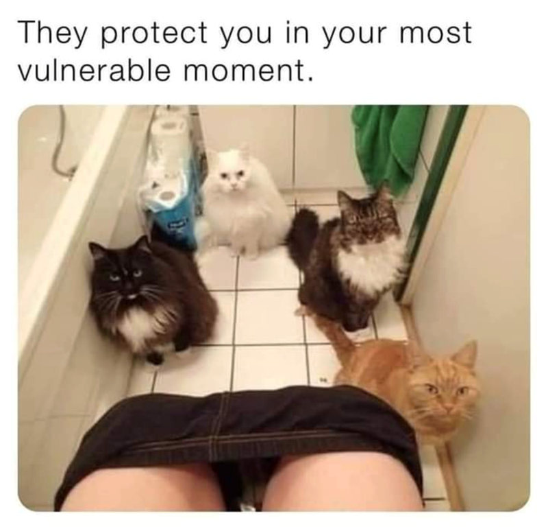 They protect you in your most vulnerable moment.