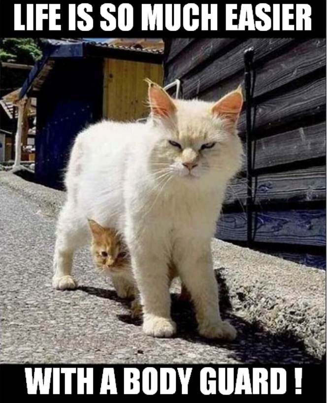 LIFE IS SO MUCH EASIER WITH A BODY GUARD!