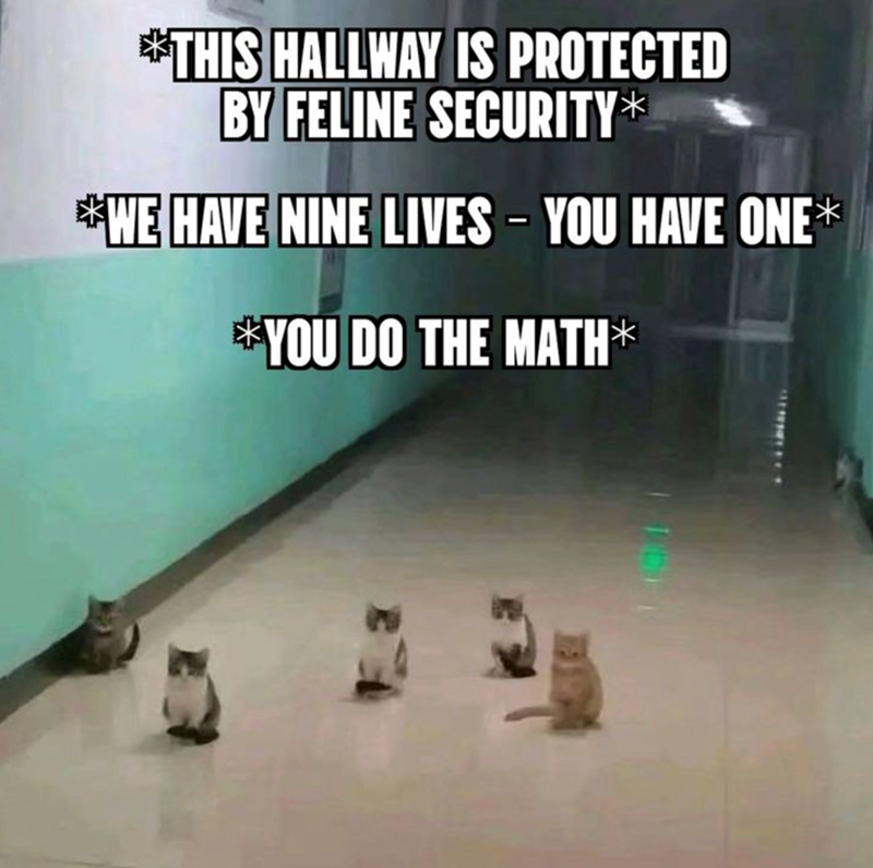 *THIS HALLWAY IS PROTECTED BY FELINE SECURITY* *WE HAVE NINE LIVES - YOU HAVE ONE✶ *YOU DO THE MATH✶